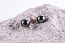 Load image into Gallery viewer, Classic Tahitian Black Pearl 18K Gold Stud Earrings